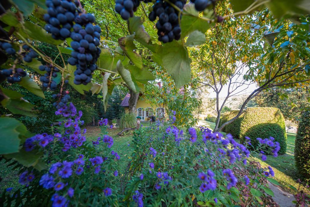 הוילה גלייסדורף Winemakers Escape מראה חיצוני תמונה